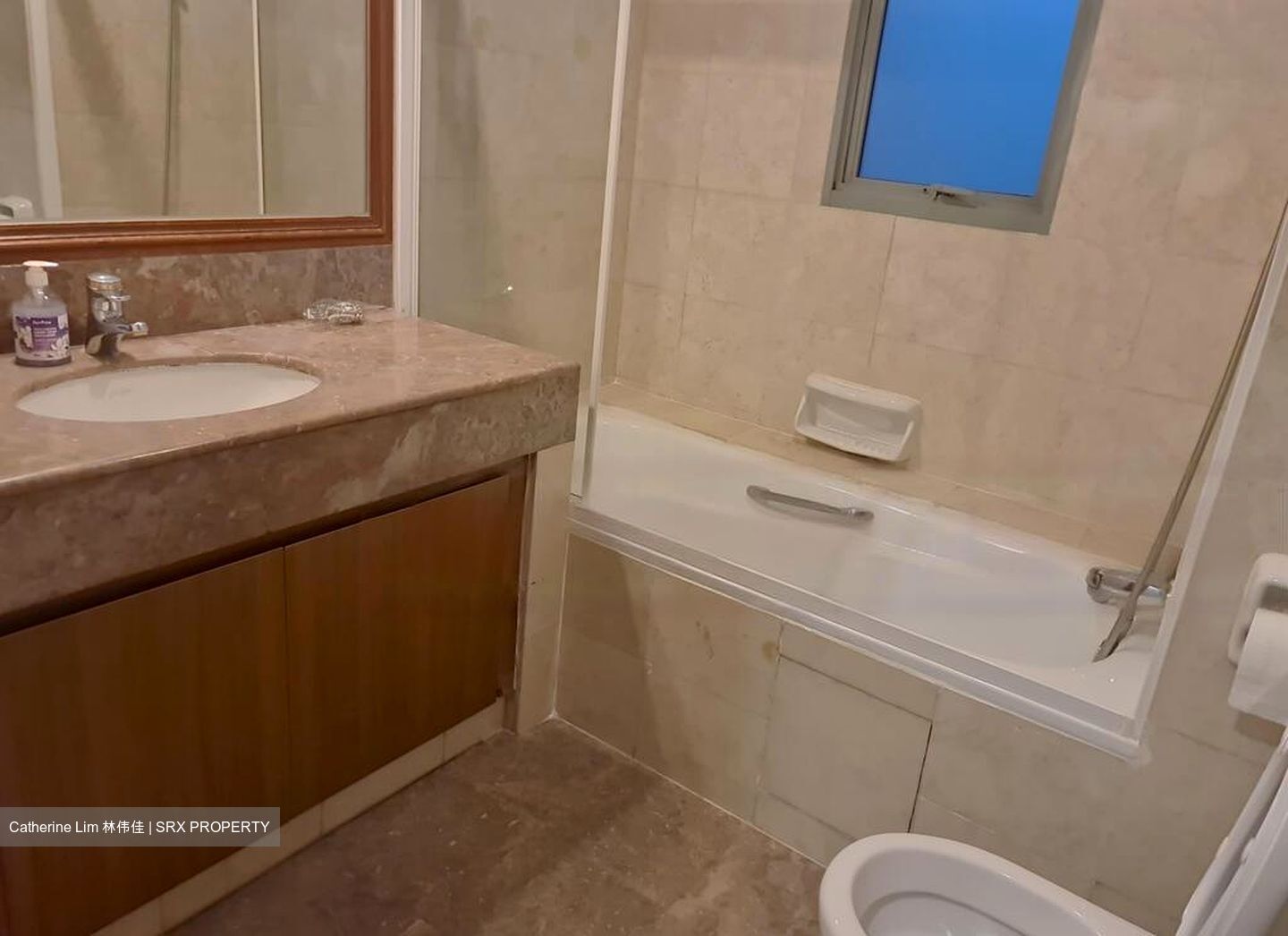 Aspen Heights (D9), Condominium #449696541